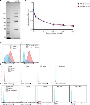 Fc multimers effectively treat murine models of multiple sclerosis